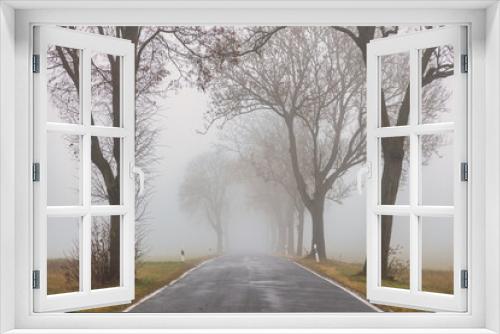Fototapeta Naklejka Na Ścianę Okno 3D - Landstraße mit Bäumen und Nebel