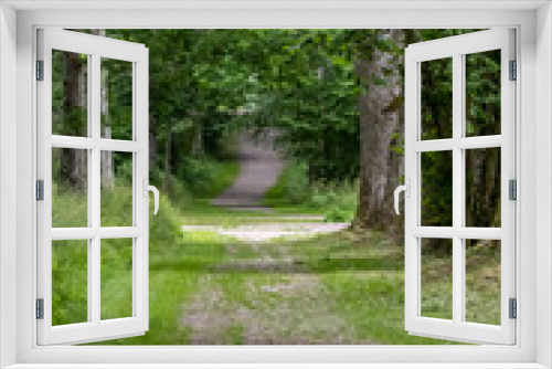 Fototapeta Naklejka Na Ścianę Okno 3D - Looking down a gravel road in a forest.