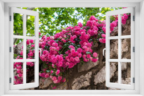 Fototapeta Naklejka Na Ścianę Okno 3D - Blütenpracht auf Steinmauer
