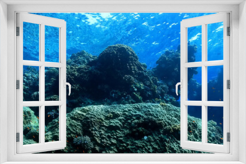 Fototapeta Naklejka Na Ścianę Okno 3D - panorama coral reef underwater landscape seascape