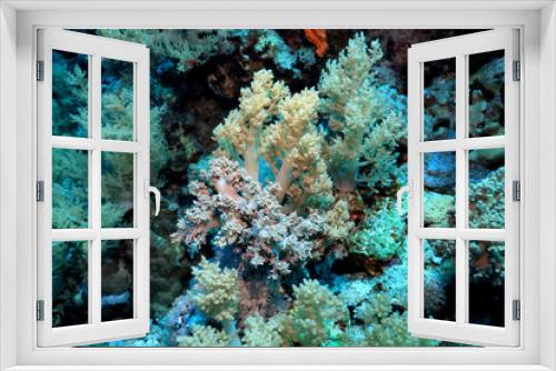 Fototapeta Naklejka Na Ścianę Okno 3D - coral reef wallpaper background ocean tropical ecosystem underwater