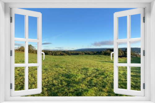 Fototapeta Naklejka Na Ścianę Okno 3D - Green meadow and blue sky, co. Roscommon, Ireland