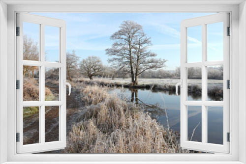 Fototapeta Naklejka Na Ścianę Okno 3D - A still River Wey on a cold frosty morning, Surrey, UK.