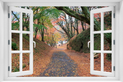 Fototapeta Naklejka Na Ścianę Okno 3D - 雨の日の秋の公園