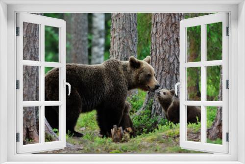 Fototapeta Naklejka Na Ścianę Okno 3D - Bear with cubs in the forest