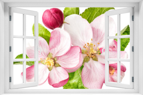 Fototapeta Naklejka Na Ścianę Okno 3D - PNG Apple tree blossom isolated. Spring flowers