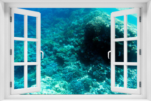 Fototapeta Naklejka Na Ścianę Okno 3D - View of coral reef in Sharm El Sheik