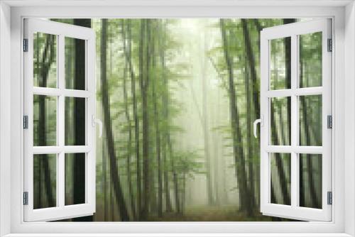 Fototapeta Naklejka Na Ścianę Okno 3D - green woods path, natural landscape