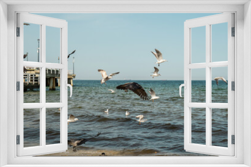 Fototapeta Naklejka Na Ścianę Okno 3D - The Sopot molo pier longest in Europe. Baltic Sea and the sun. Seagulls flying on the beach of Baltic Sea waves searching food. Holiday vacation