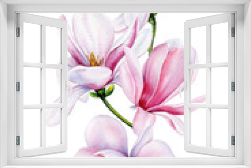Fototapeta Naklejka Na Ścianę Okno 3D - Botanical flowers set with magnolia flowers. Isolated pink Magnolia flower. Watercolor hand drawn illustration