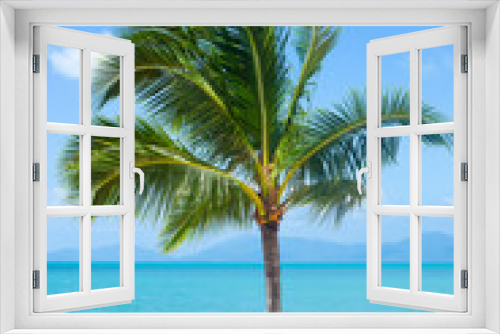 Fototapeta Naklejka Na Ścianę Okno 3D - Coconut Palm on a sandy beach on a sunny day. Travel and tourism