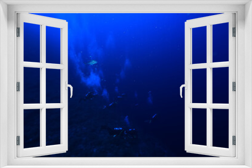Fototapeta Naklejka Na Ścianę Okno 3D - group of divers depth bubbles dive