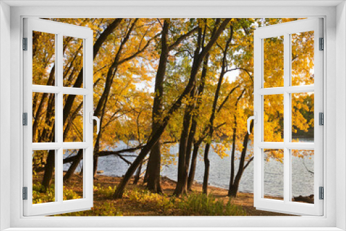 Fototapeta Naklejka Na Ścianę Okno 3D - Fall colors on the Mississippi River near Minneapolis