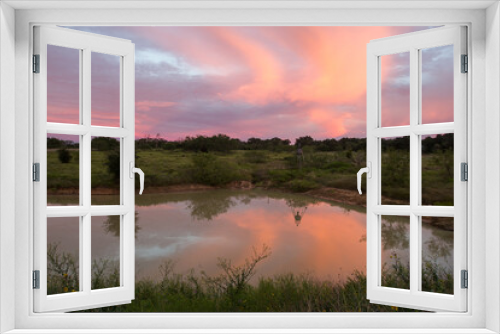 Fototapeta Naklejka Na Ścianę Okno 3D - Ranch Pond with beautiful reflection of feeder and sunrise.