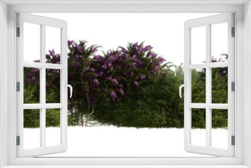 Fototapeta Naklejka Na Ścianę Okno 3D - line bushes and flowers isolated on transparent  background PNG's. 
