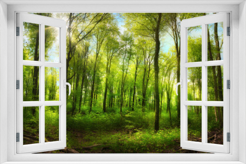 Fototapeta Naklejka Na Ścianę Okno 3D - Beautiful beech forest with uplifting sunshine, a panoramic landscape with vibrant green, blue sky and the sun casting rays through the trees 