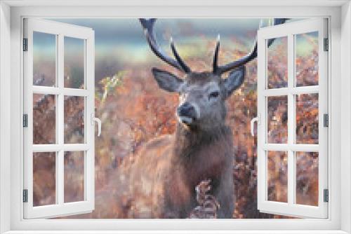 Fototapeta Naklejka Na Ścianę Okno 3D - Red deer standing in bracken in autumn