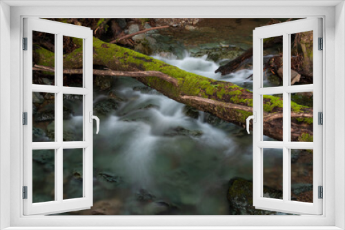 Fototapeta Naklejka Na Ścianę Okno 3D - Muir Woods