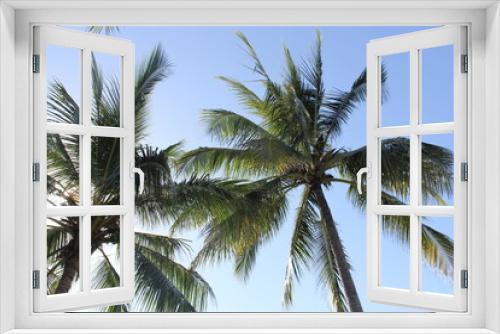 Fototapeta Naklejka Na Ścianę Okno 3D - coconut palm tree