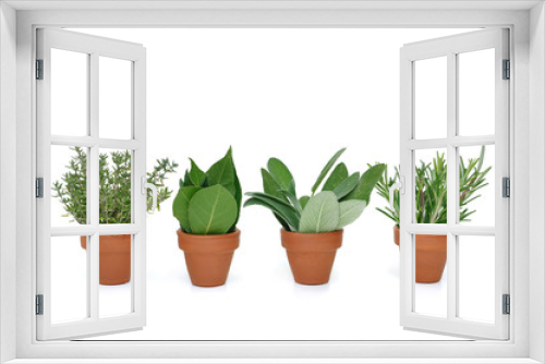 Fototapeta Naklejka Na Ścianę Okno 3D - pots d'herbes aromatiques