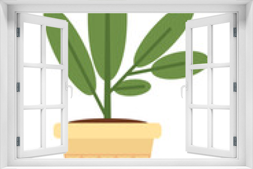 Fototapeta Naklejka Na Ścianę Okno 3D - houseplant in pot