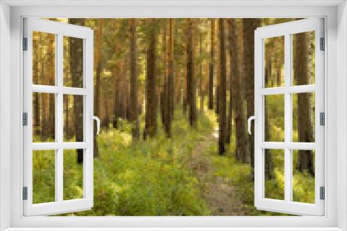 Fototapeta Naklejka Na Ścianę Okno 3D - Magic summer landscape with pine forest and walkway, green grass, shadows in golden sunlights and rays, shadows in morning, vertical. Amazing walk in wild outdoors.