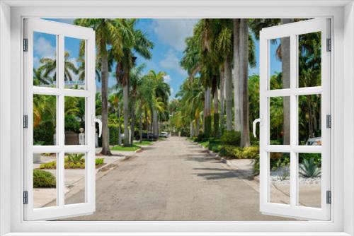 Fototapeta Naklejka Na Ścianę Okno 3D - Street on a quiet wealthy neighborhood at Miami, Florida. There is a concrete way in the middle of the gated residences with plants and palm trees at the front.