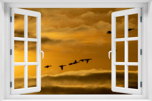 Fototapeta Naklejka Na Ścianę Okno 3D - Golden hour at Avebury in Wiltshire. A flight of mallard ducks set off for home.