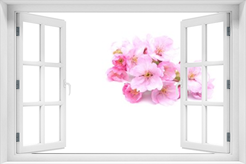 Fototapeta Naklejka Na Ścianę Okno 3D - Cherry blossom isolated on white background. Sign of spring