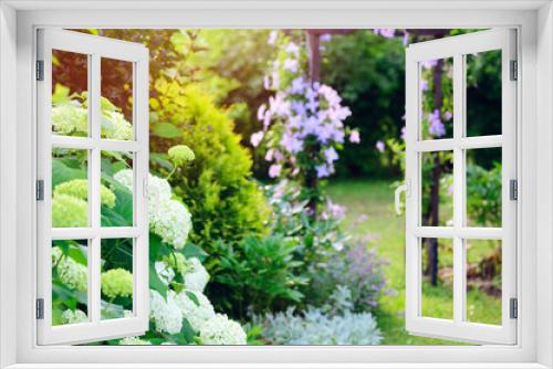 Fototapeta Naklejka Na Ścianę Okno 3D - English cottage summer garden view with clematis on wooden archway and white hydrangeas. June or july blooming flowers