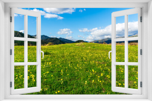 Fototapeta Naklejka Na Ścianę Okno 3D - beautiful green meadow with yellow flowers and young spring grass on foreground and amazing mountains on background