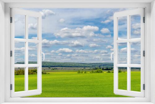 Fototapeta Naklejka Na Ścianę Okno 3D - A wide field with green grass, trees and forest in the distance and a picturesque cloudy sky. Summer landscape with a green field