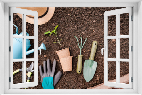 Fototapeta Naklejka Na Ścianę Okno 3D - Growing seedlings of vegetables for planting greenhouse, tools gardener and gardener