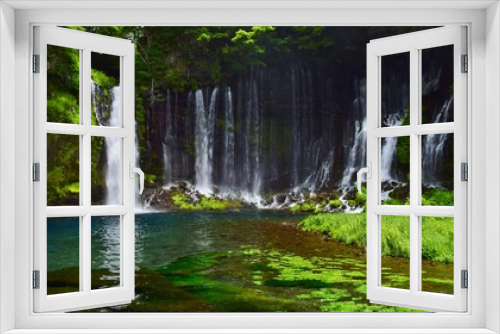 Fototapeta Naklejka Na Ścianę Okno 3D - 白糸ノ滝・静岡県 初夏の風景