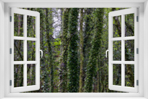 Fototapeta Naklejka Na Ścianę Okno 3D - Geres green woods during spring