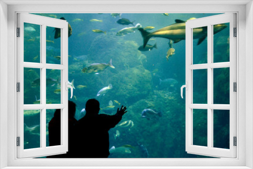 Fototapeta Naklejka Na Ścianę Okno 3D - 水族館の風景