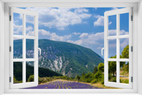Fototapeta Naklejka Na Ścianę Okno 3D - Lavender field near Montbrun les Bains and Sault, Provence, France
