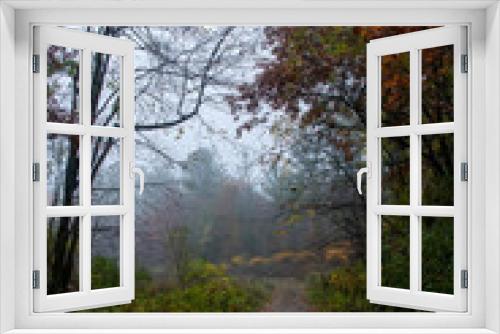 Fototapeta Naklejka Na Ścianę Okno 3D - Foggy Fall Woods