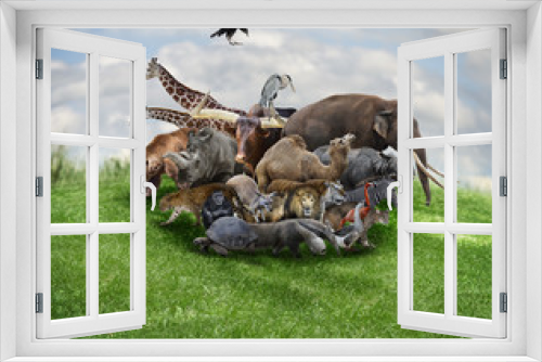Fototapeta Naklejka Na Ścianę Okno 3D - Animals Concept