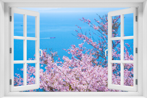 Fototapeta Naklejka Na Ścianę Okno 3D - 瀬戸内海と桜