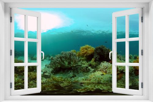 Fototapeta Naklejka Na Ścianę Okno 3D - Underwater fish reef marine. Tropical colourful underwater seascape. Philippines. 360 panorama VR