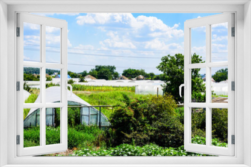 Fototapeta Naklejka Na Ścianę Okno 3D - Many greenhouses made with the metal frame and polyethylene film