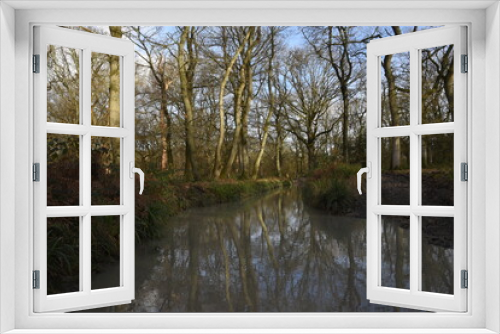 Fototapeta Naklejka Na Ścianę Okno 3D - a muddy flooded track through the Malvern hills