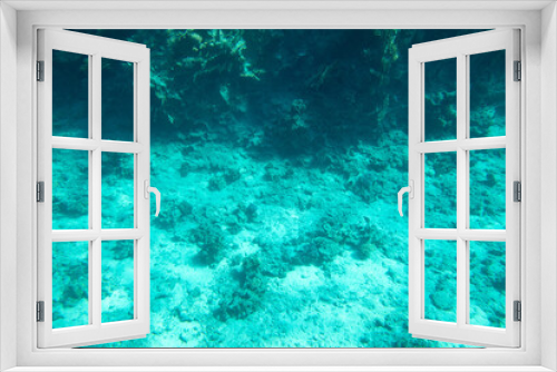 Fototapeta Naklejka Na Ścianę Okno 3D - Coral reef at the bottom of the Red Sea.
