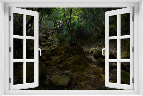Fototapeta Naklejka Na Ścianę Okno 3D - 岩が多い登山道
