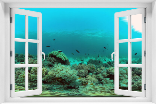 Fototapeta Naklejka Na Ścianę Okno 3D - Coral garden seascape and underwater world. Colorful tropical coral reefs. Life coral reef. Philippines. 360 panorama VR