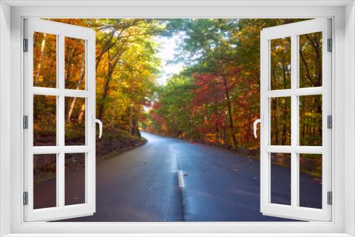 Fototapeta Naklejka Na Ścianę Okno 3D - Narrow asphalt road in colorful autumn forest on a sunny day. Acadia National Park. USA. Maine
