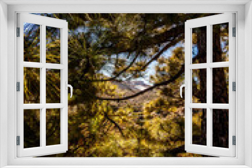 Fototapeta Naklejka Na Ścianę Okno 3D - Paisaje en el Parque Nacional del Teide.