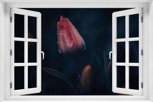 Fototapeta Naklejka Na Ścianę Okno 3D - tulipany