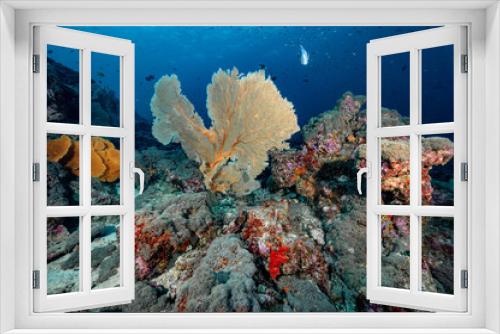 Fototapeta Naklejka Na Ścianę Okno 3D - Giant Branching Gorgonian Sea Fan coral (Seafan) with colorful soft coral reef and marine life at North Andaman, a famous scuba diving dive site and exotic underwater landscape in Thailand.